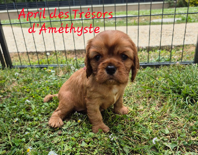 April
