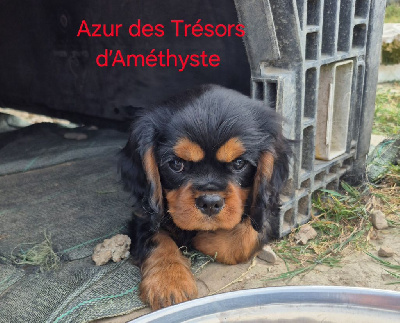 Azur